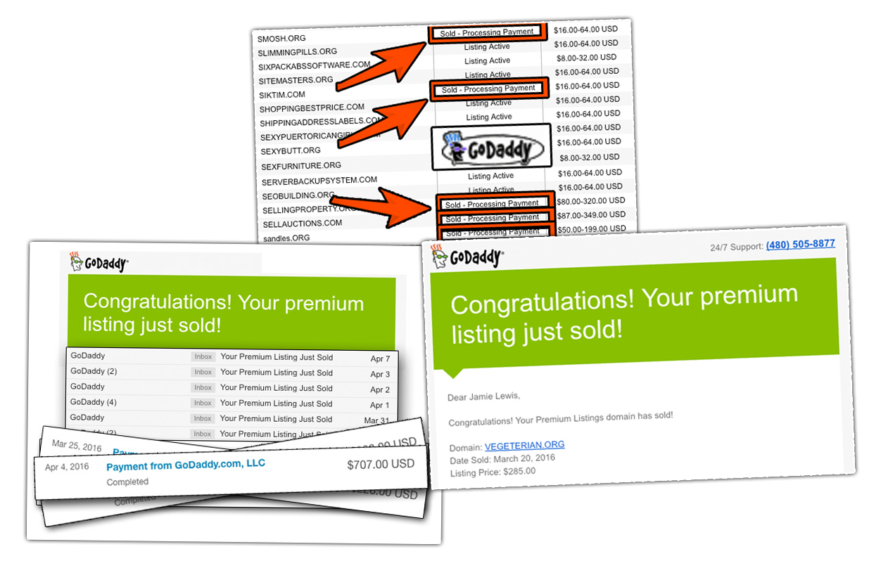 domain name check